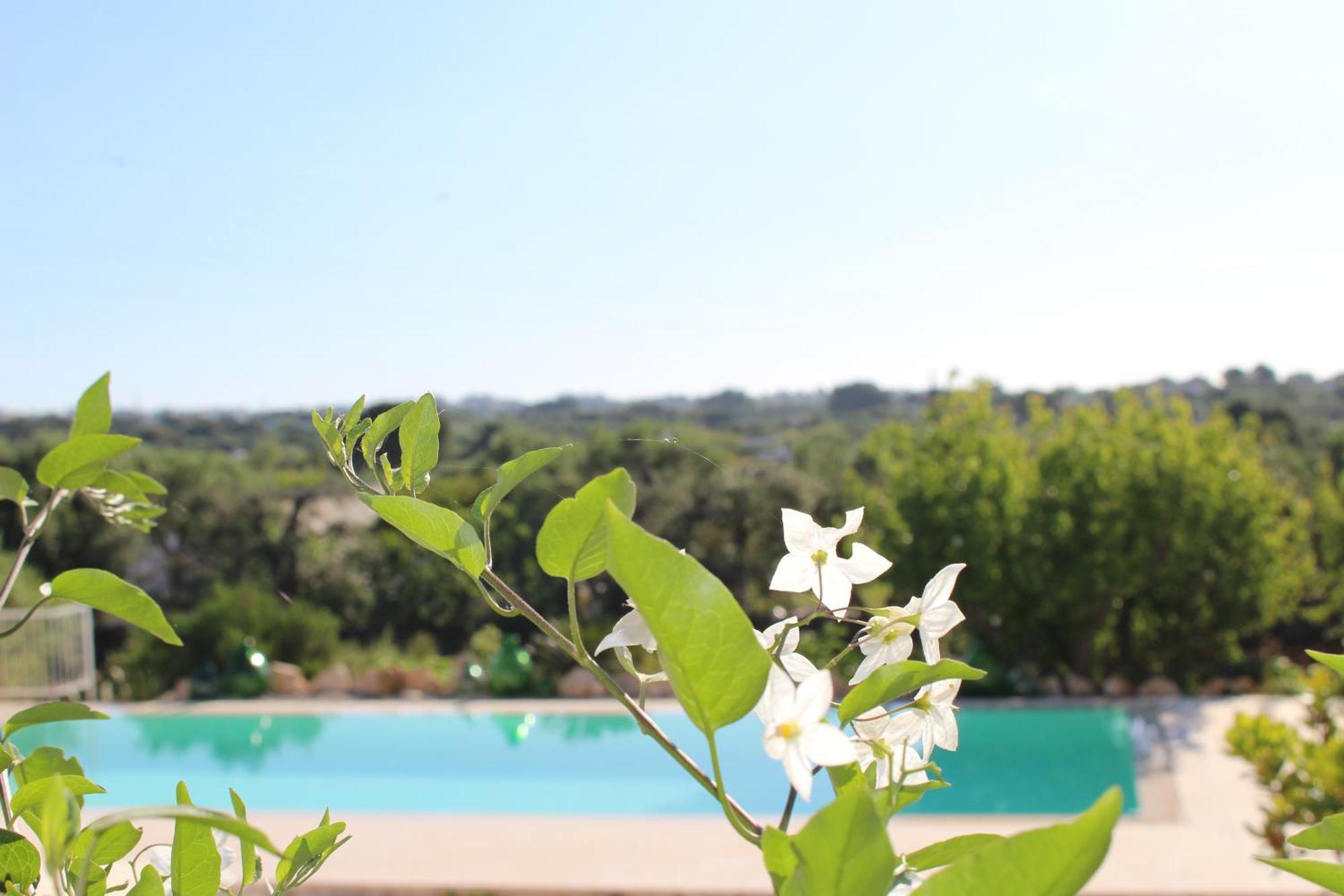 Trullo Il Melograno Vendégház Ostuni Kültér fotó