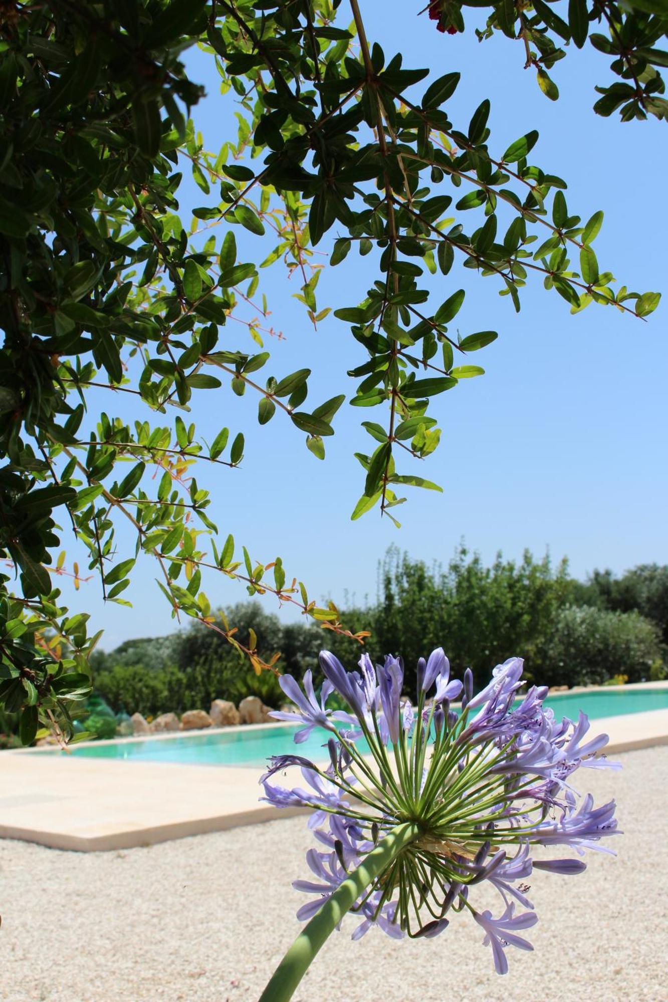 Trullo Il Melograno Vendégház Ostuni Kültér fotó