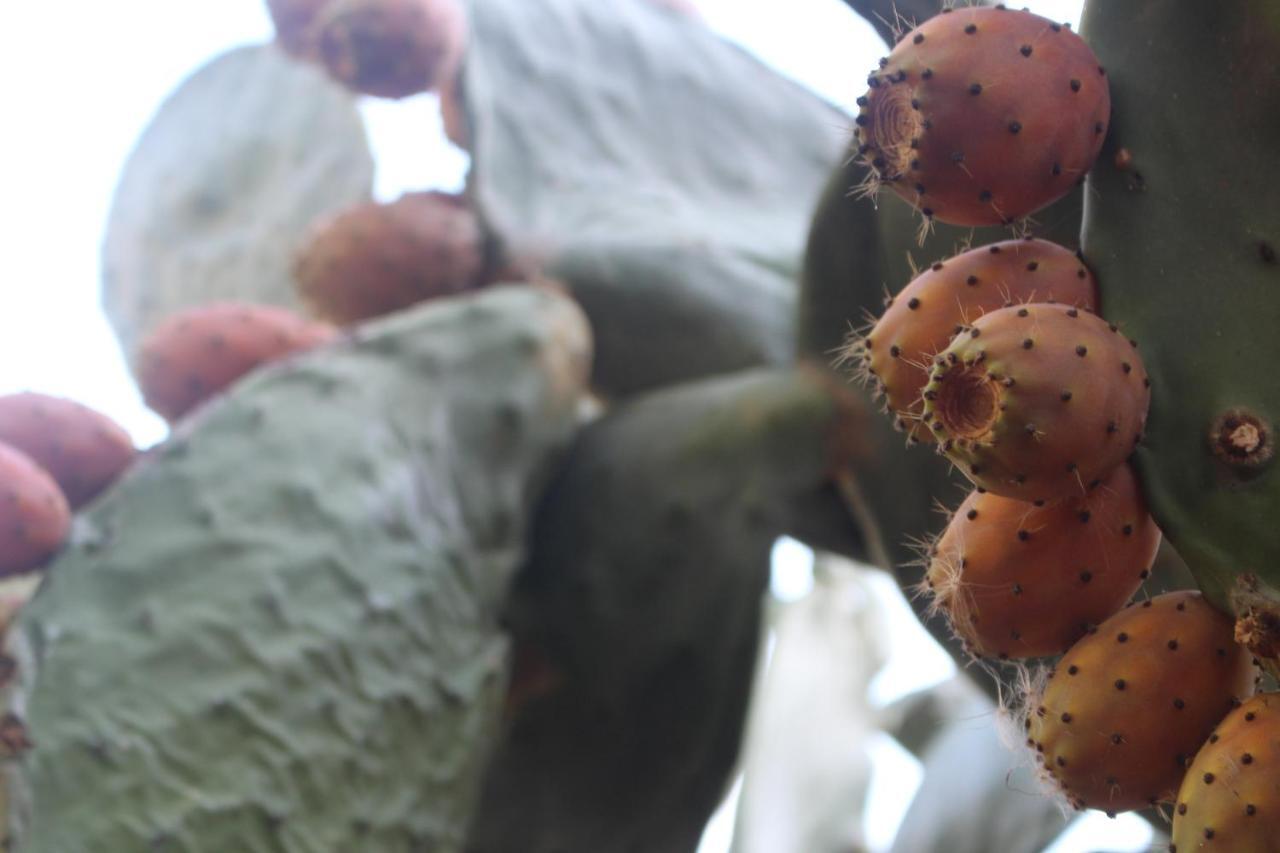 Trullo Il Melograno Vendégház Ostuni Kültér fotó