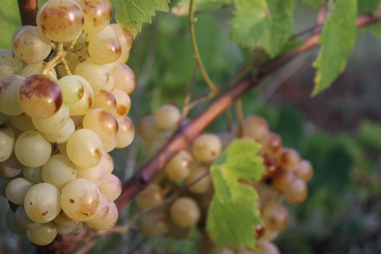 Trullo Il Melograno Vendégház Ostuni Kültér fotó