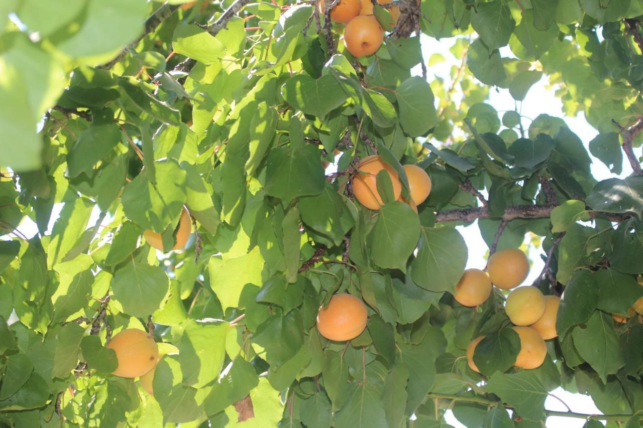 Trullo Il Melograno Vendégház Ostuni Kültér fotó